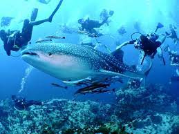 태국 여행 최고의 관광 명소