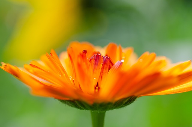 ETF 자동 매매 시스템, 조화, 단계 구축