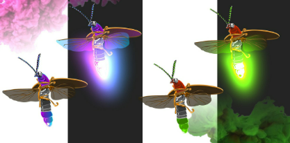 2025년 화담숲 반딧불이 이벤트