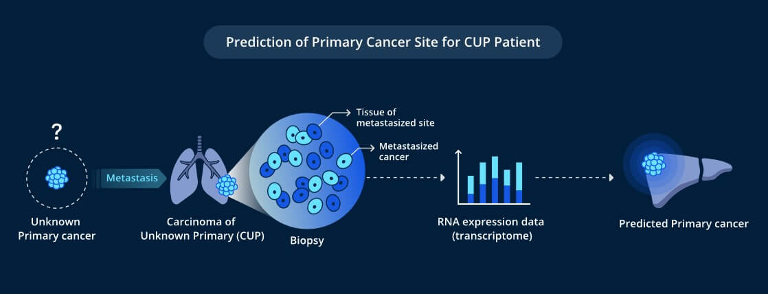 AI 신약개발 플랫폼: RAPTOR AI