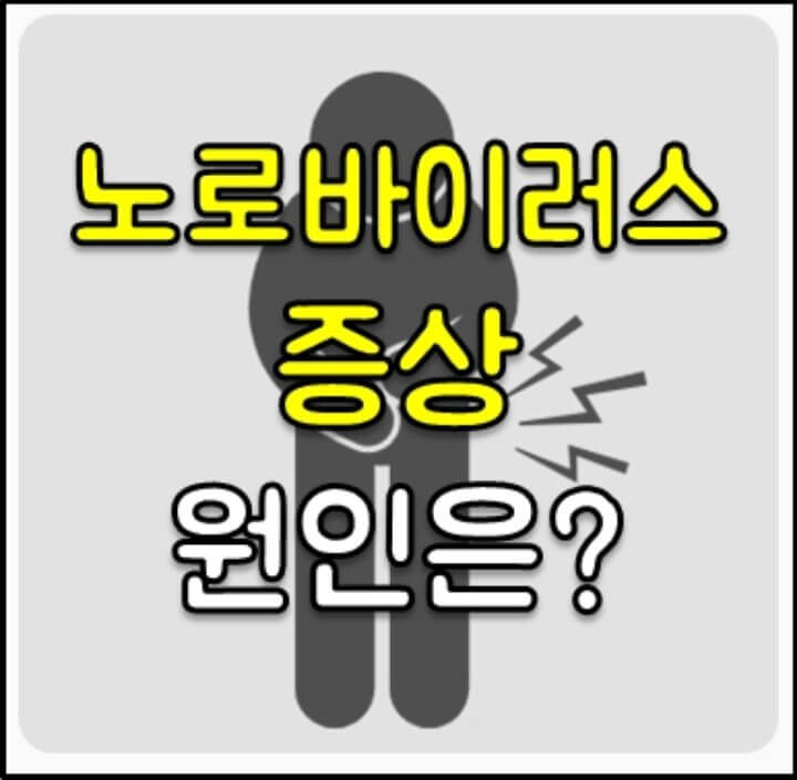 노로바이러스 증상 썸네일