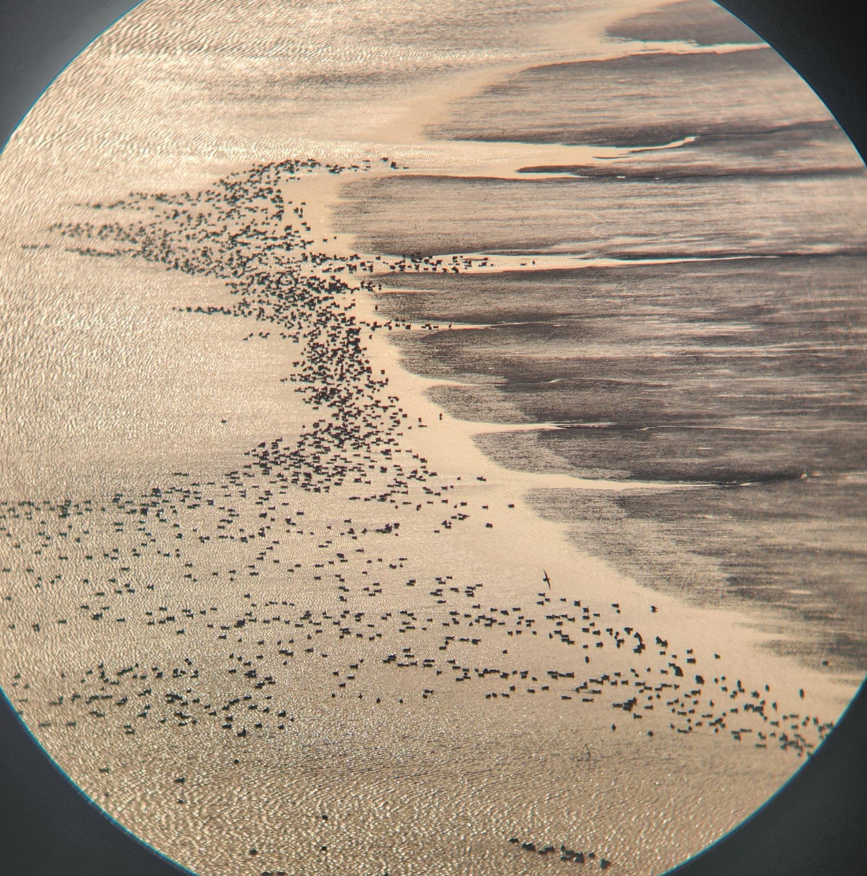 용산 전망대 망원경 사진
