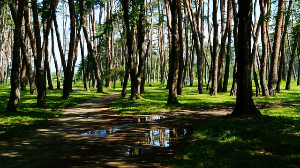 국내 여행지 추천 강릉 가볼 만한 곳
