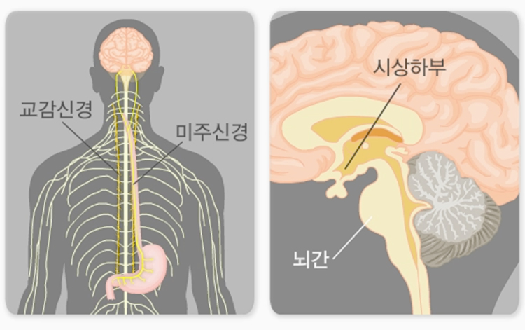 딸꾹질 원인 설명