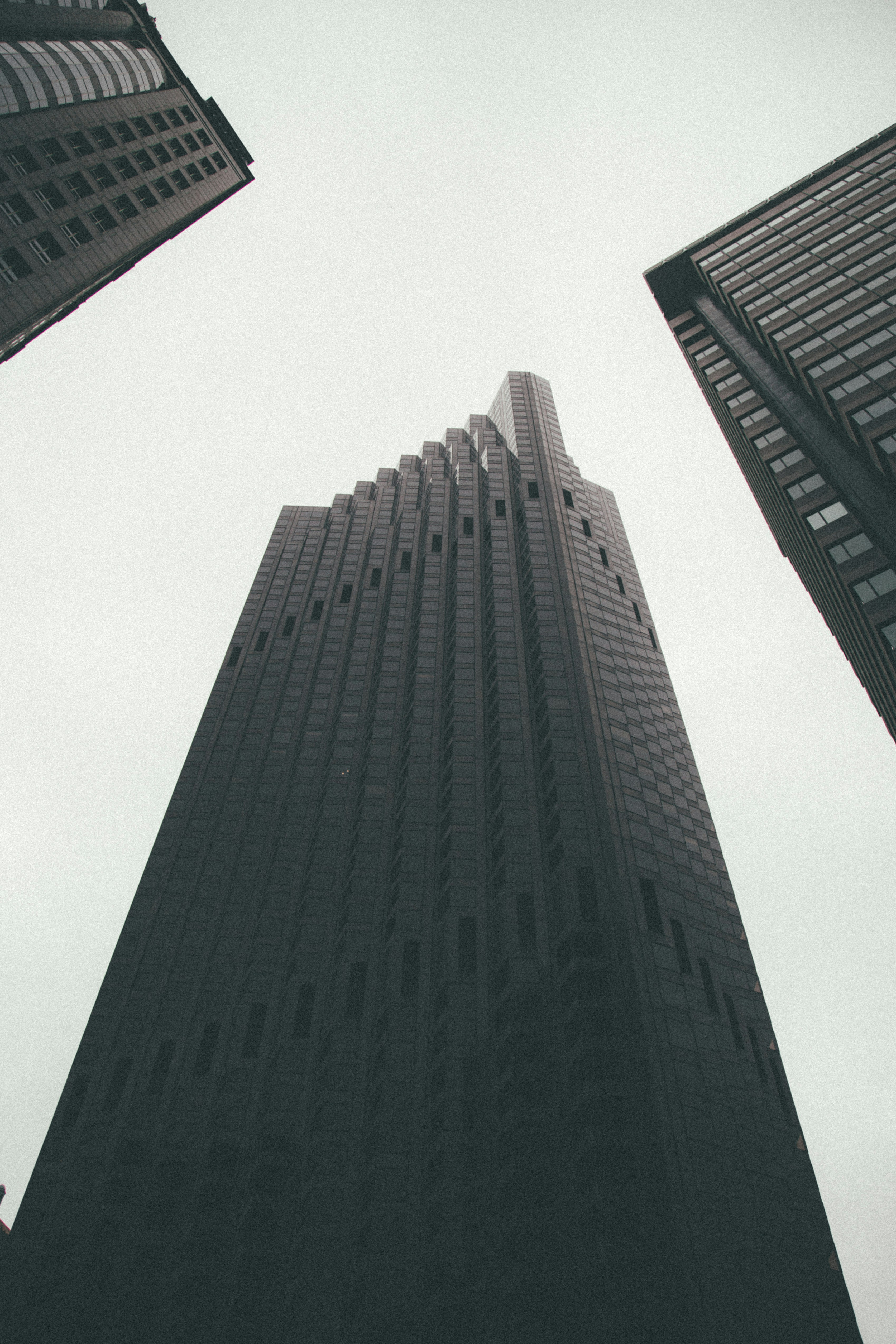 오픽&amp;#44; 토익스피킹