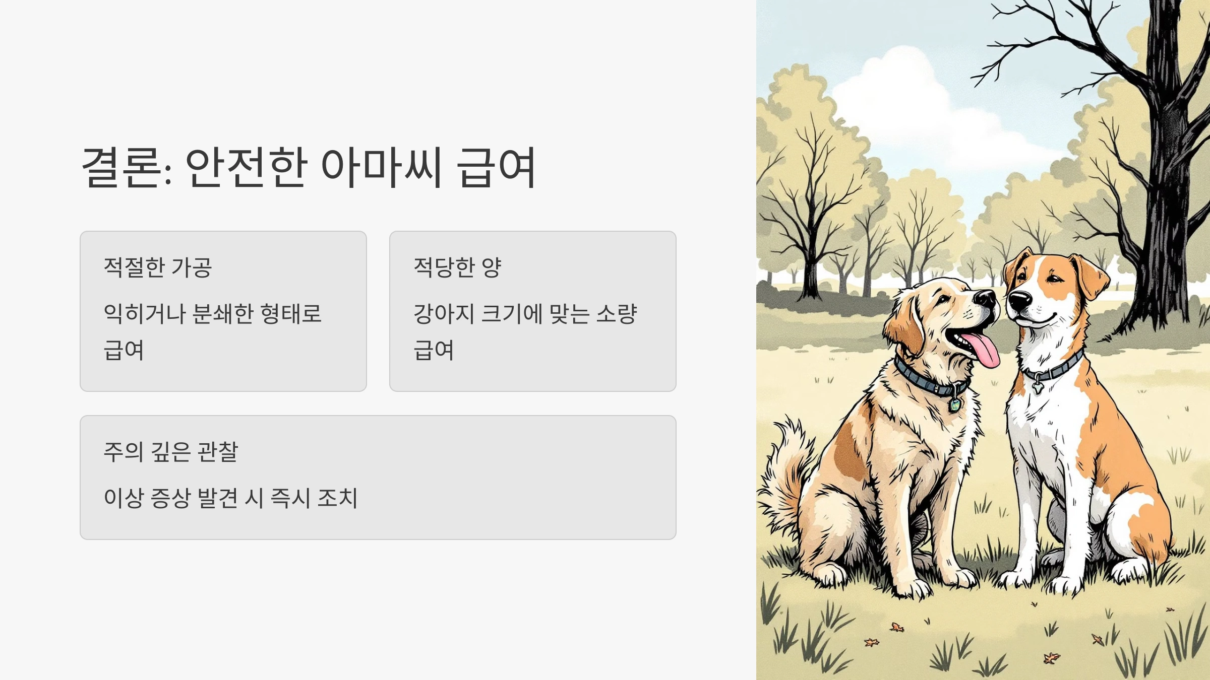 🐶 강아지가 아마씨를 먹었을 때 주의할 점