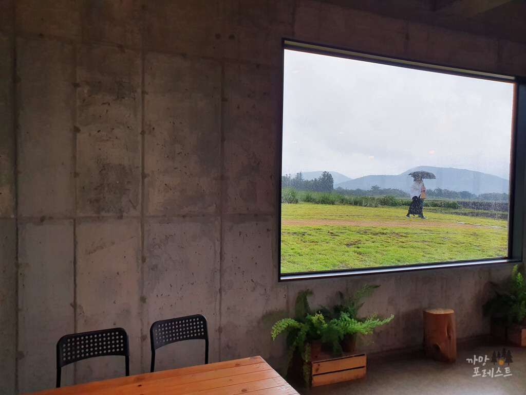 표선 보롬왓 실내 분위기