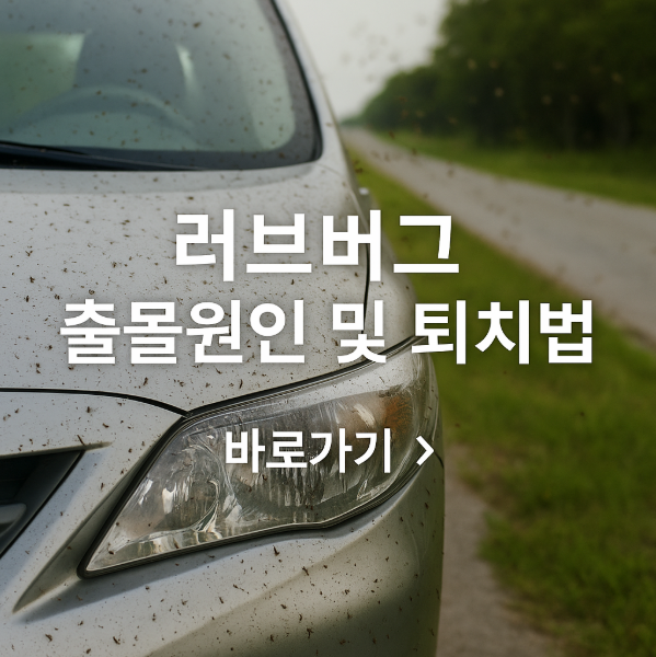 러브버그 출몰원인 및 퇴치법