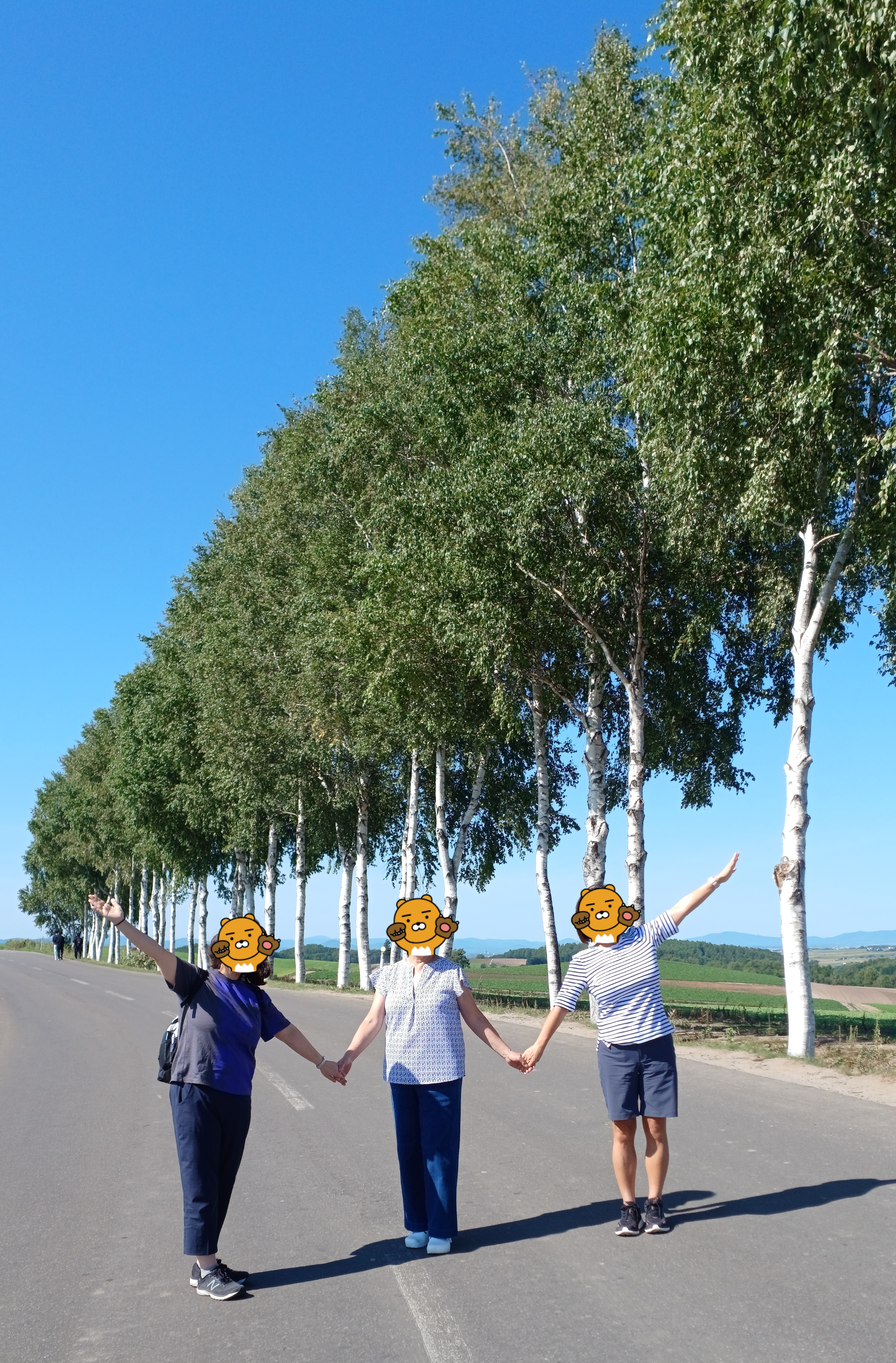 삿포로-비에이-투어-청의호수-패치워크로드1