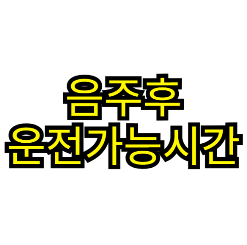 음주후 운전가능시간