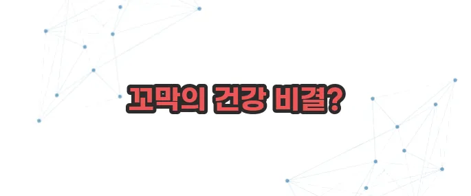 꼬막 효능 이보다 자세히 설명할순없다