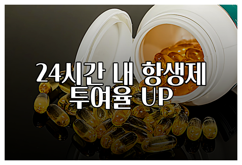 24시간 내 항생제 투여율 UP