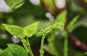 제습기 용량과 평수 한눈에 정리 14