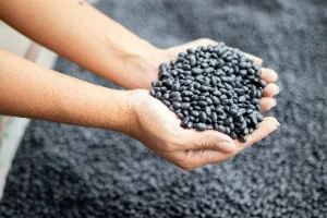 간암에-좋은-음식