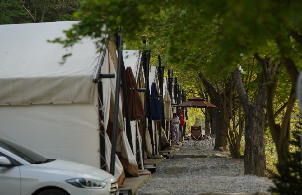 경기-가평-하늘숲글램핑파크-사진-입니다.