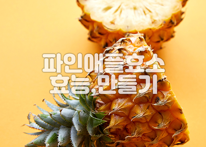 파인애플이 반으로 잘려져 노란색 배경에 놓여져있다