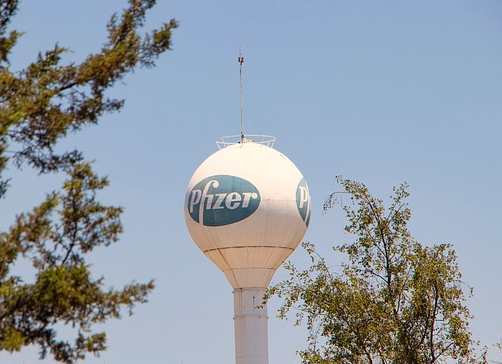 The tower of the Pfizer factory is visible through the trees.