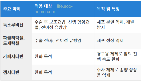 항암화학요법의 필요성과 주요 약제