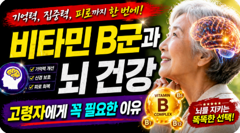 비타민 B군과 뇌 건강 이미지사진