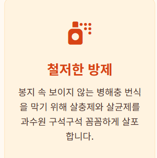 복숭아 봉지 씌우는 시기