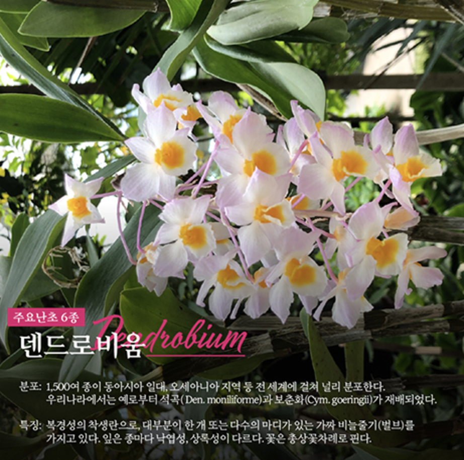 서울 식물원