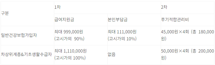 보청기 정부 지원금2