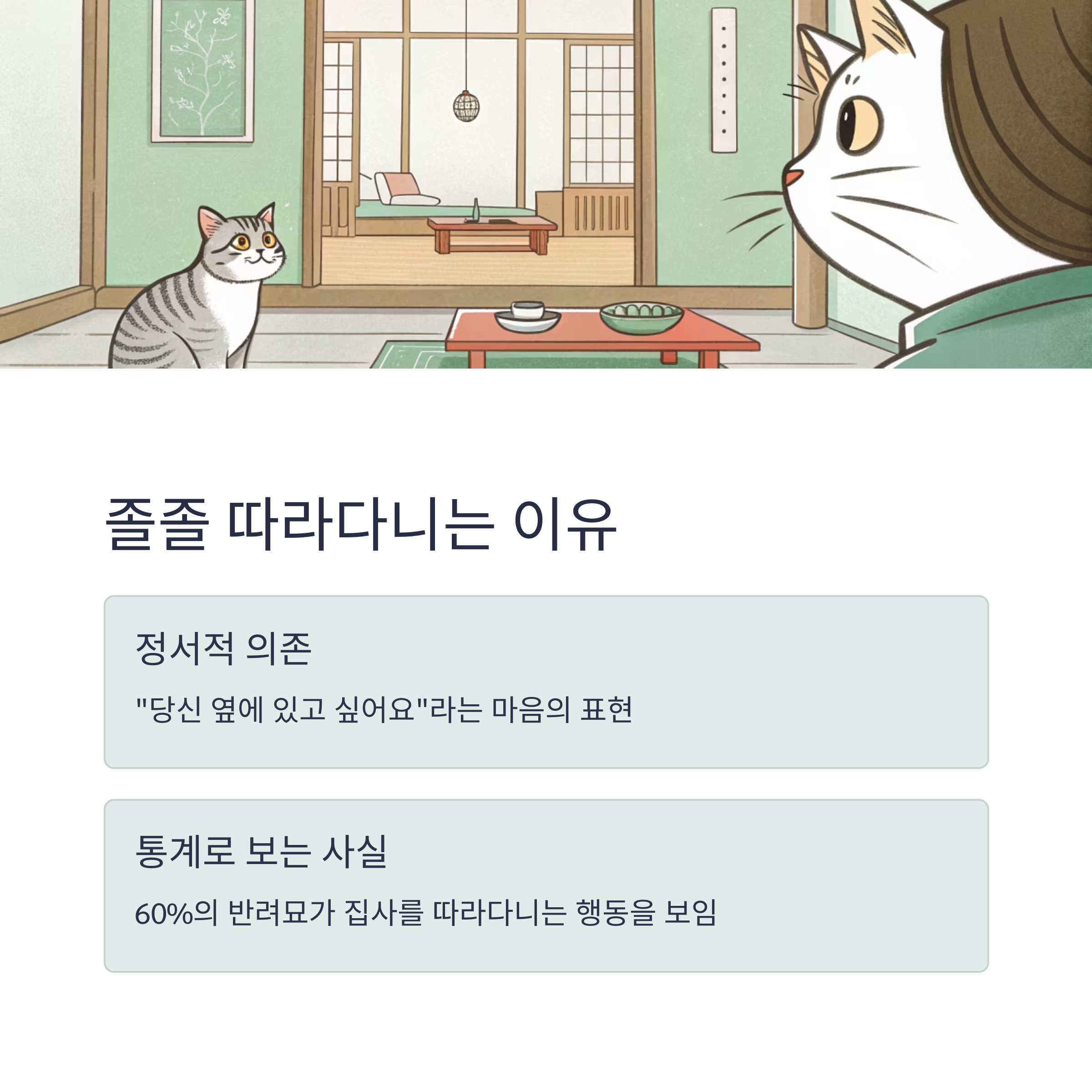 졸졸 따라다니는 이유