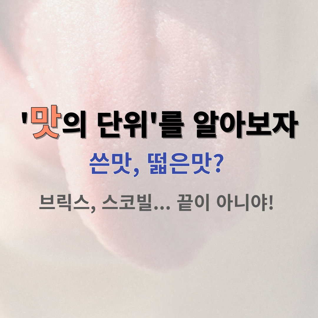 맛의 단위 썸네일