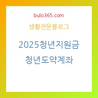 2025청년지원금, 청년도약계좌, 월세지원, 창업자금