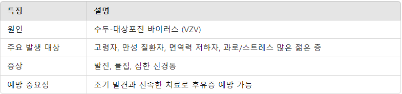 대상포진의 특징 요약