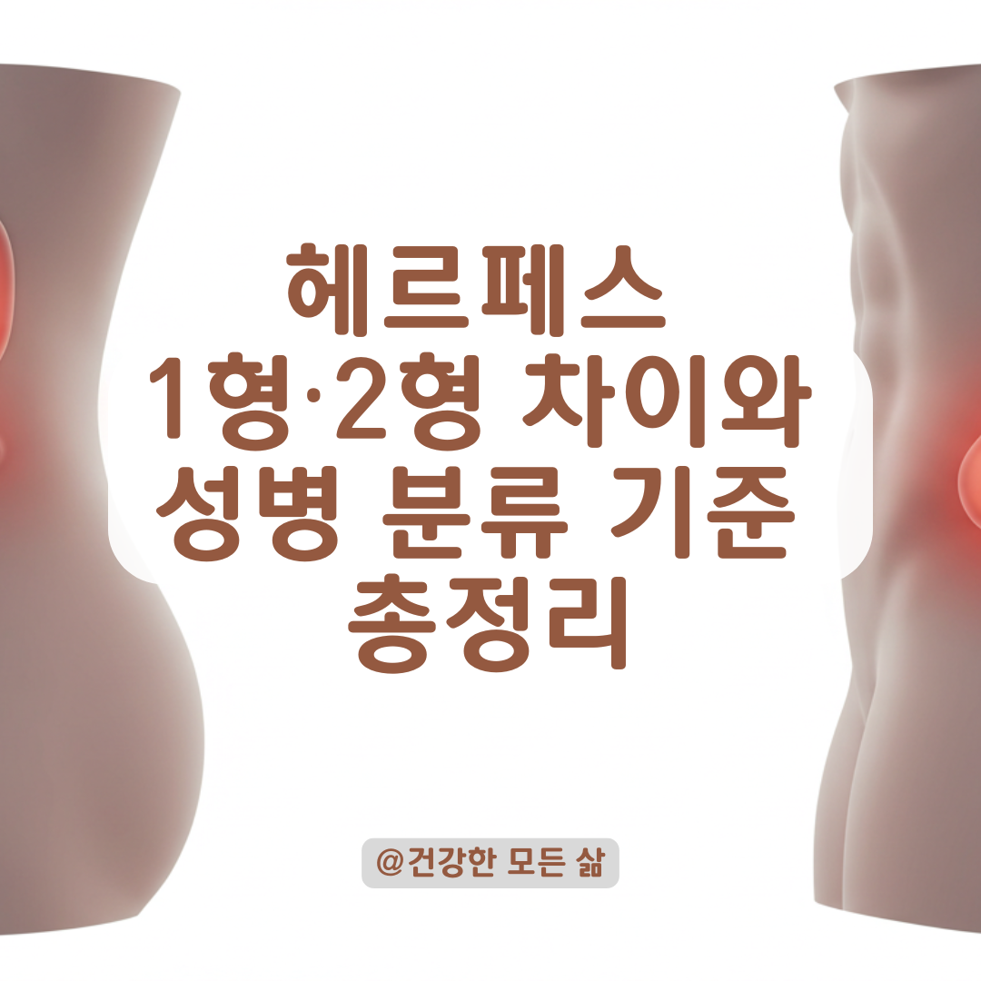 헤르페스 1형&middot;2형 차이와 성병으로 분류되는 기준 총정리.