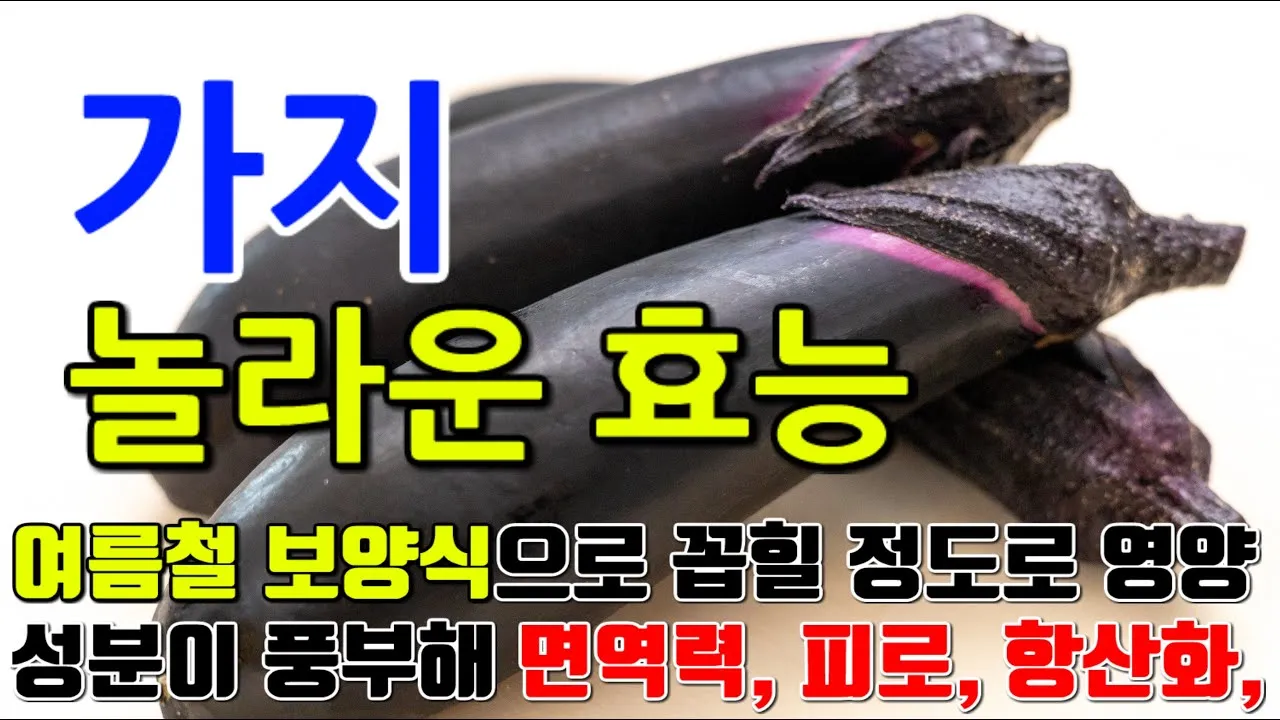 가지 효능 혈압 당뇨 관리 도움 정보_3