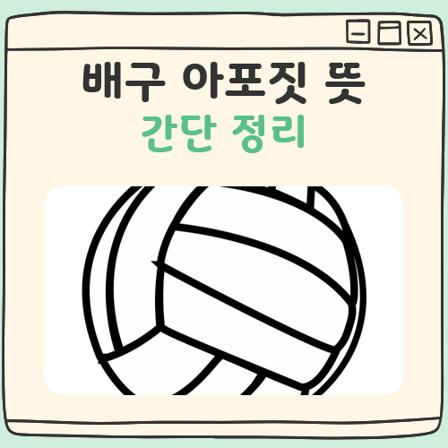 배구 아포짓 뜻 대표 이미지
