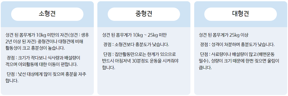 강아지의 크기별 분류