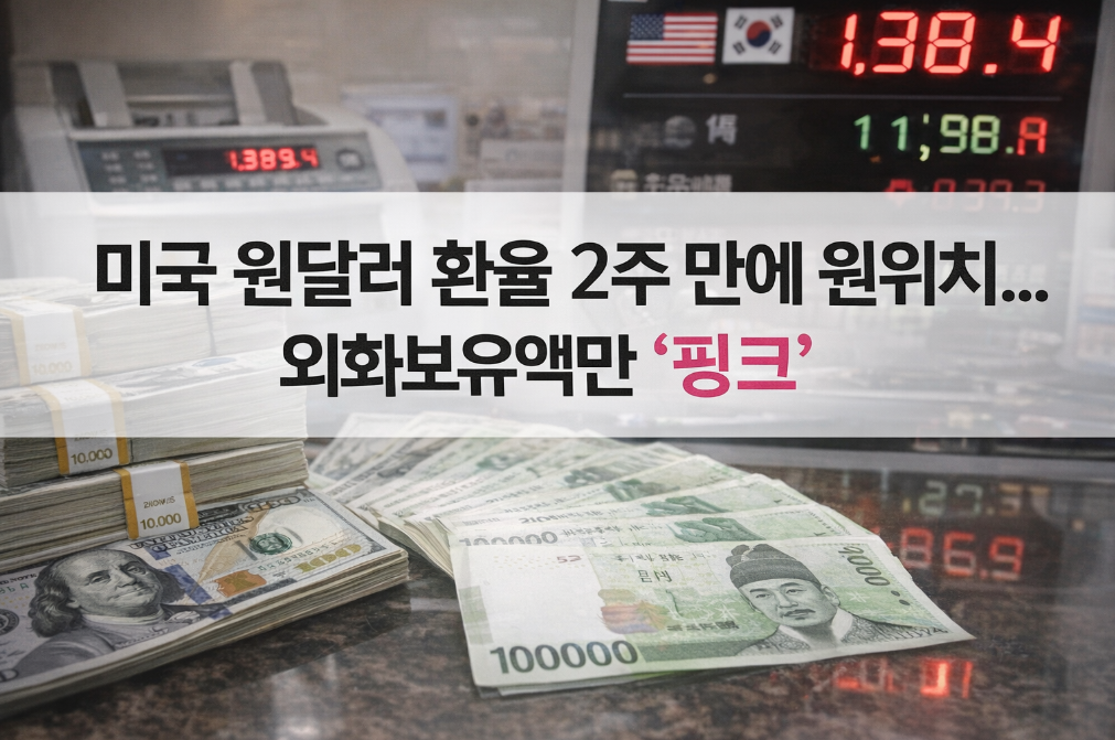 원달러 환율 2주 만에 급반등, 외화보유액만 줄어든 이유