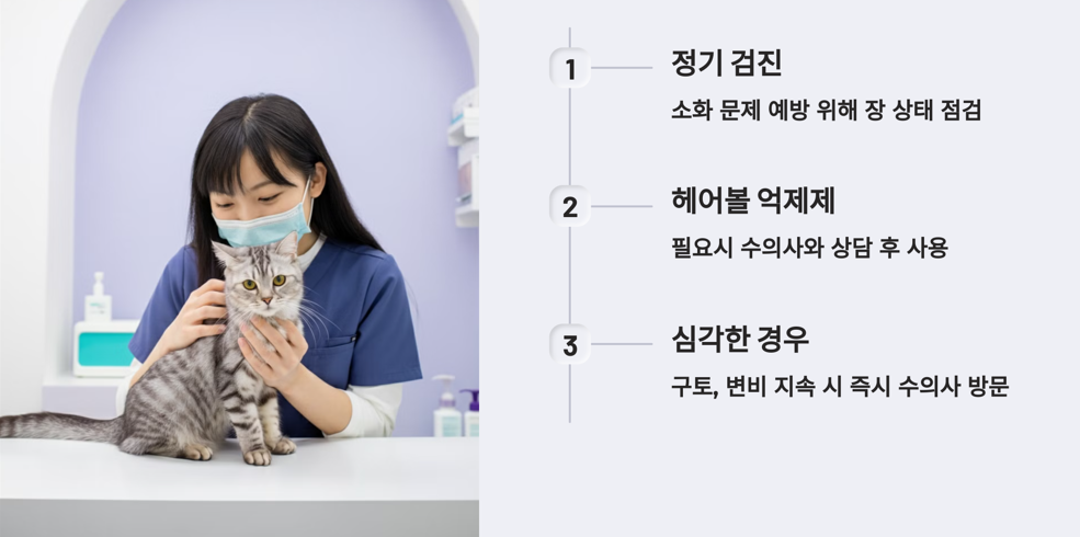 정기적인 건강 체크와 상담