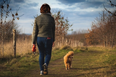 견주와 산책하는 강아지