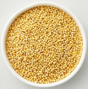 한국의 떡 종류 노티떡-찰기장