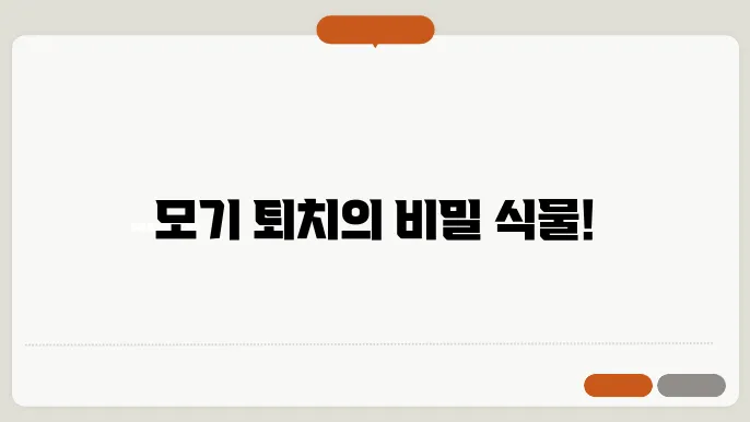 모기가 싫어하는 식물