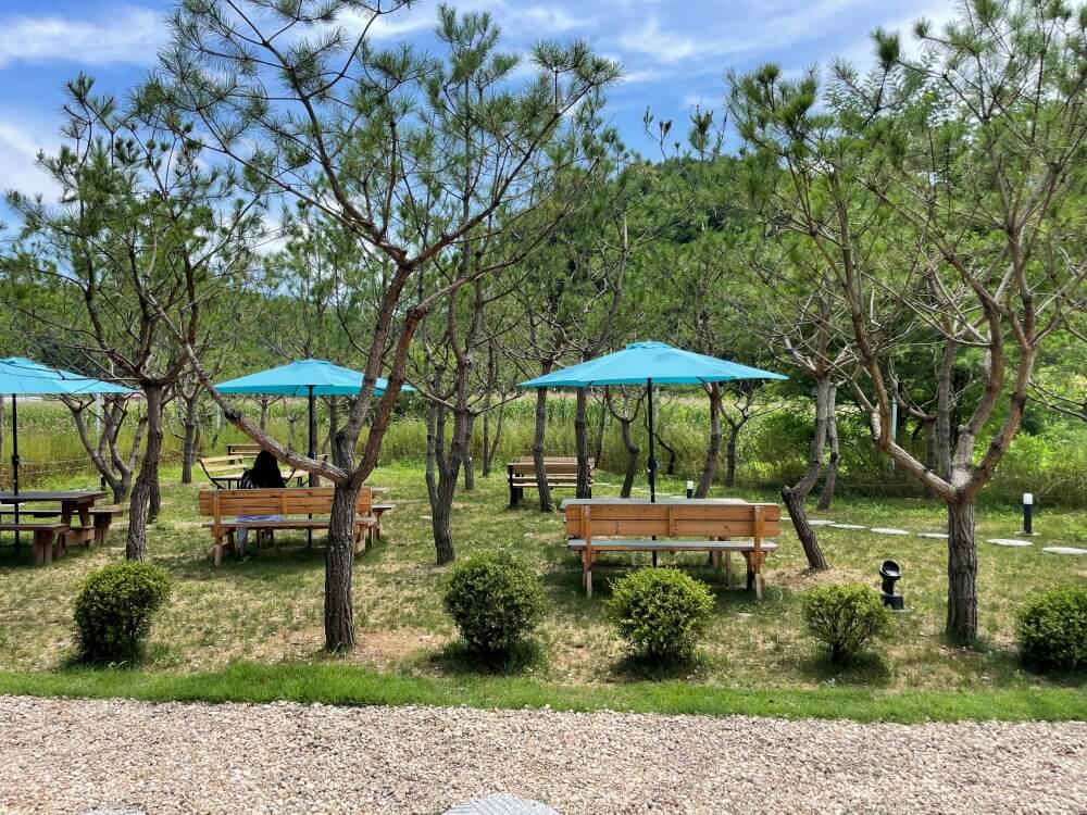 춘천-베이커리-카페-38마일(38MILE)-테라스석-전경