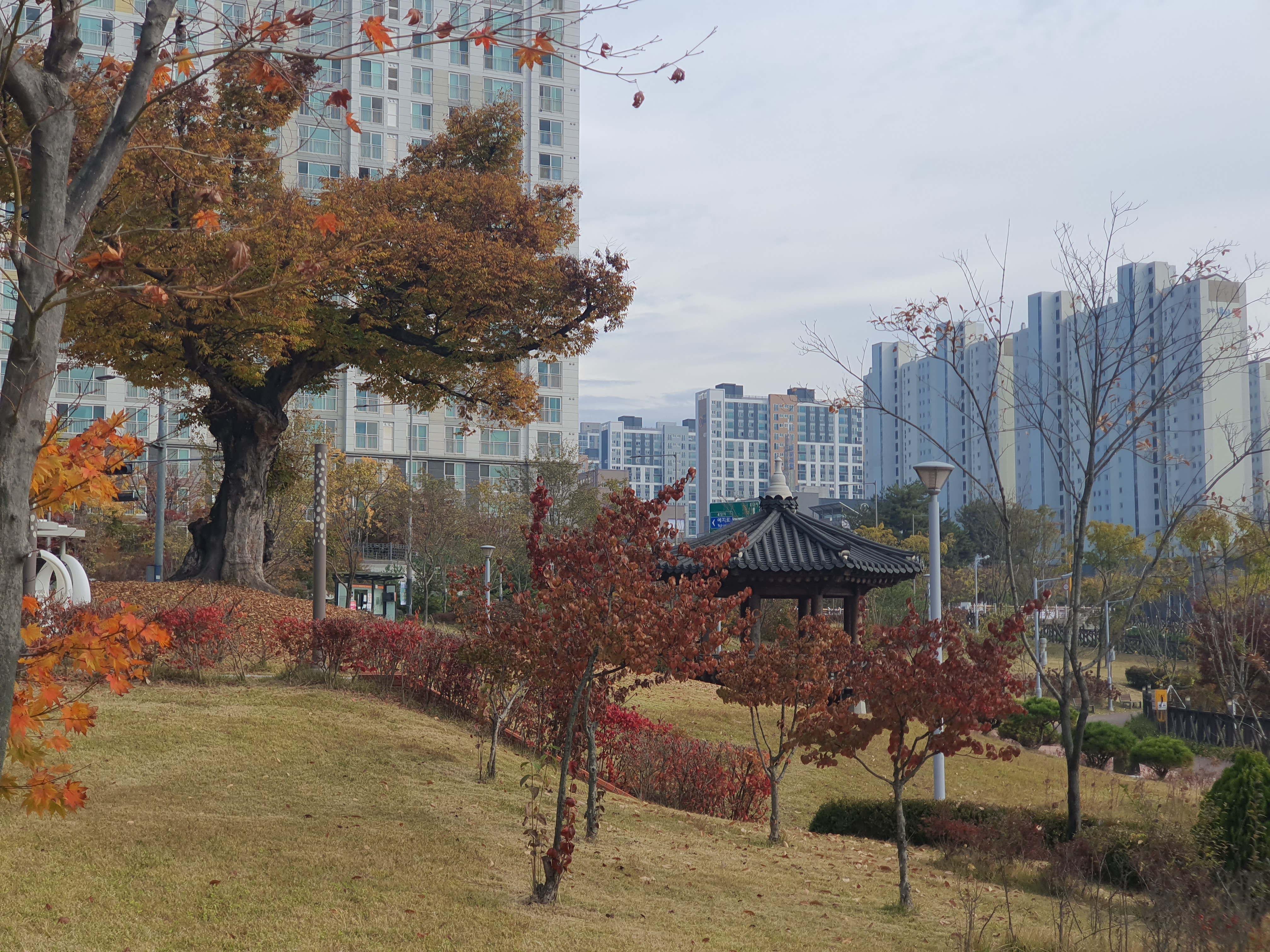 충북혁신도시-대화공원-산책로