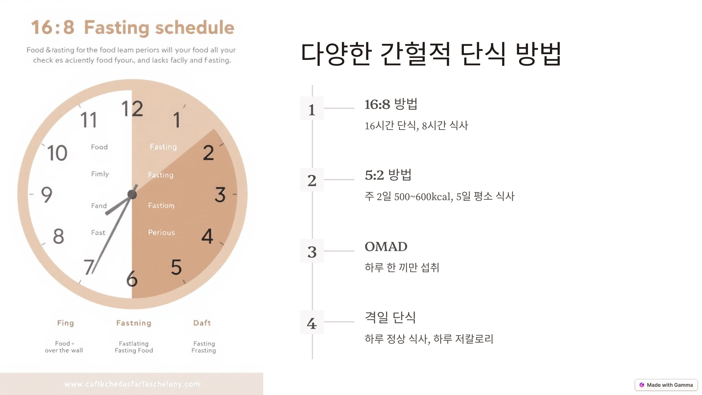 간헐적 단식 가이드