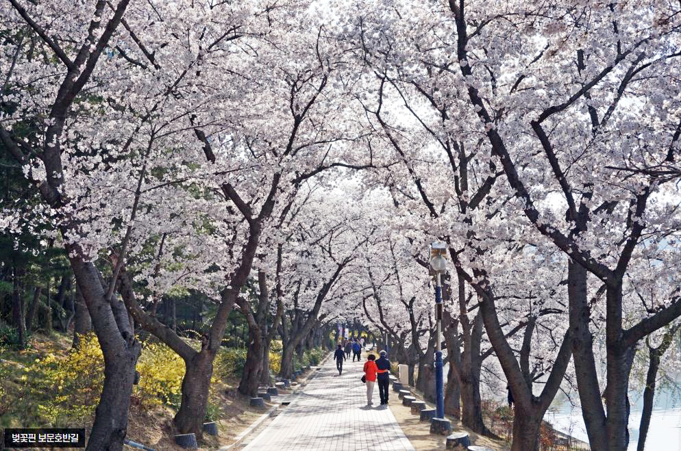 보문호반길 &amp; 보문정
