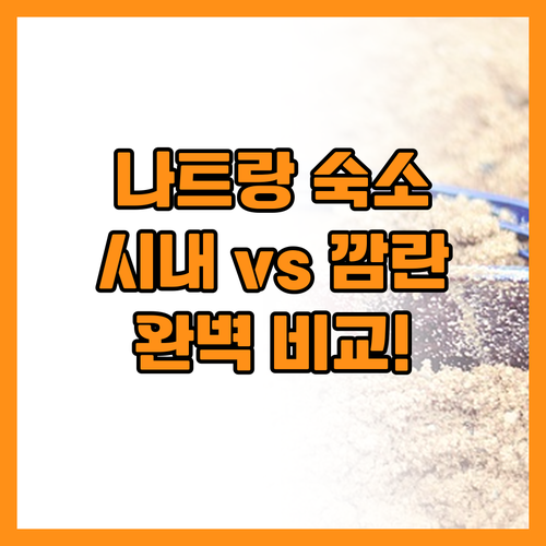 나트랑 숙소 추천 시내 호텔과 깜란 ..