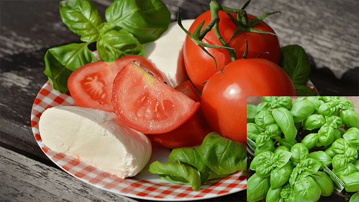 바질과 토마토 요리