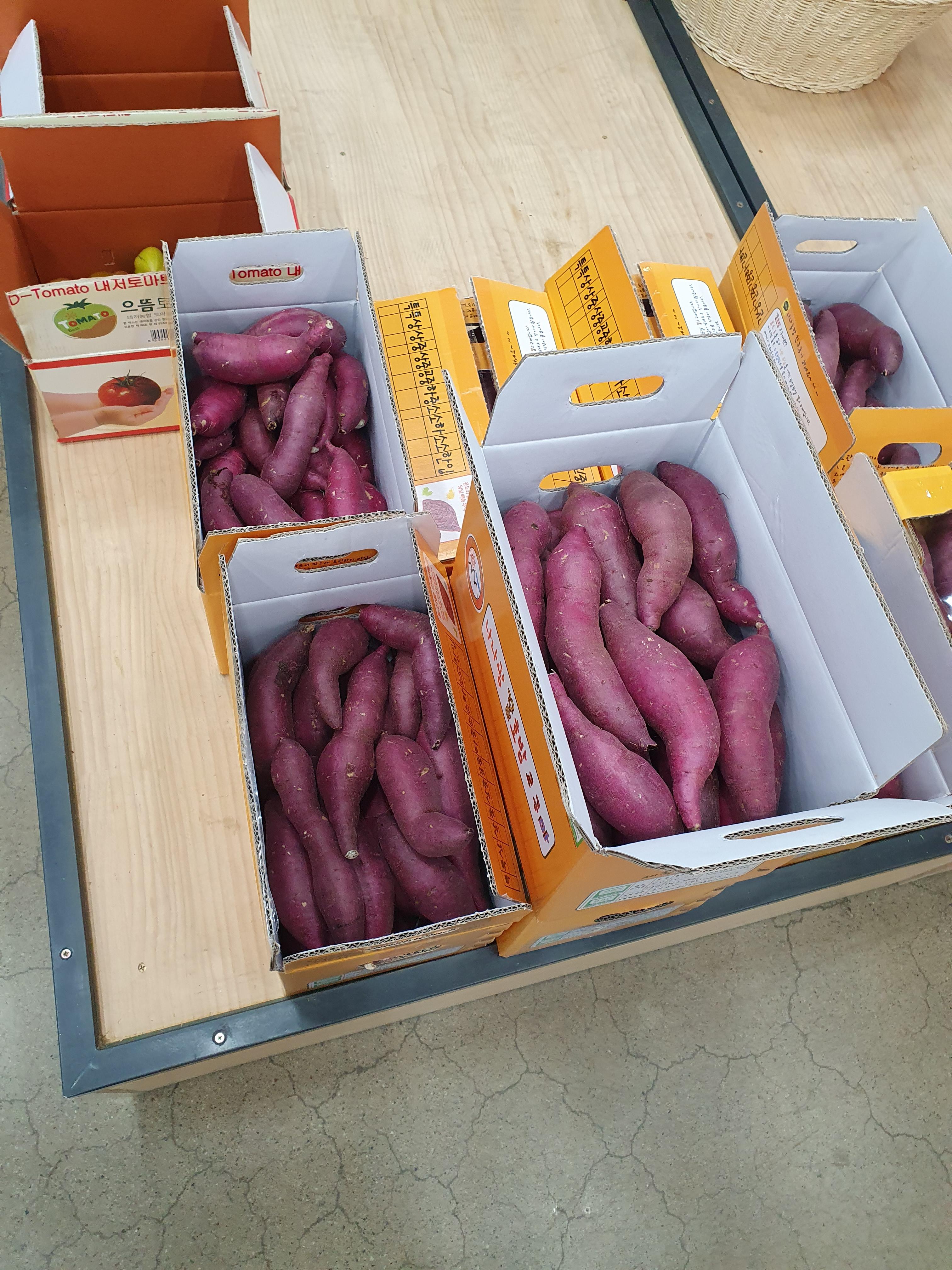 새콤달콤 논산 로컬푸드 직매장에서 판매하는 호밤고구마 때깔이 좋져?