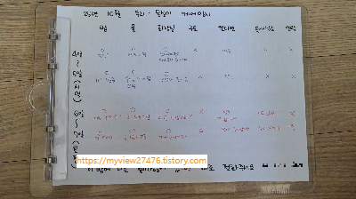 집냥이 혼자 있을 때 괜찮을까? 15살 노묘를 두고 외출하기 전 제가 확인하는 것들