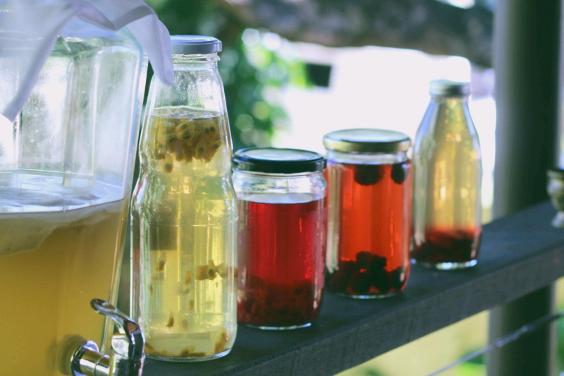 콤부차 효능 부작용