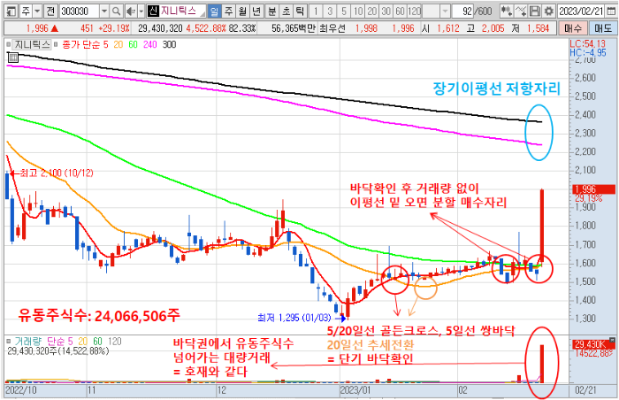 2월 21일 지니틱스 주가 일봉 차트