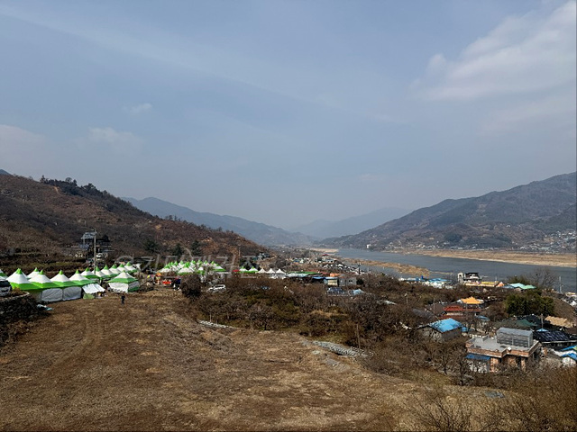 광양매화축제 기간 입장료 개화상황 프로그램 주차장 셔틀버스 25년3월8일실시간사진